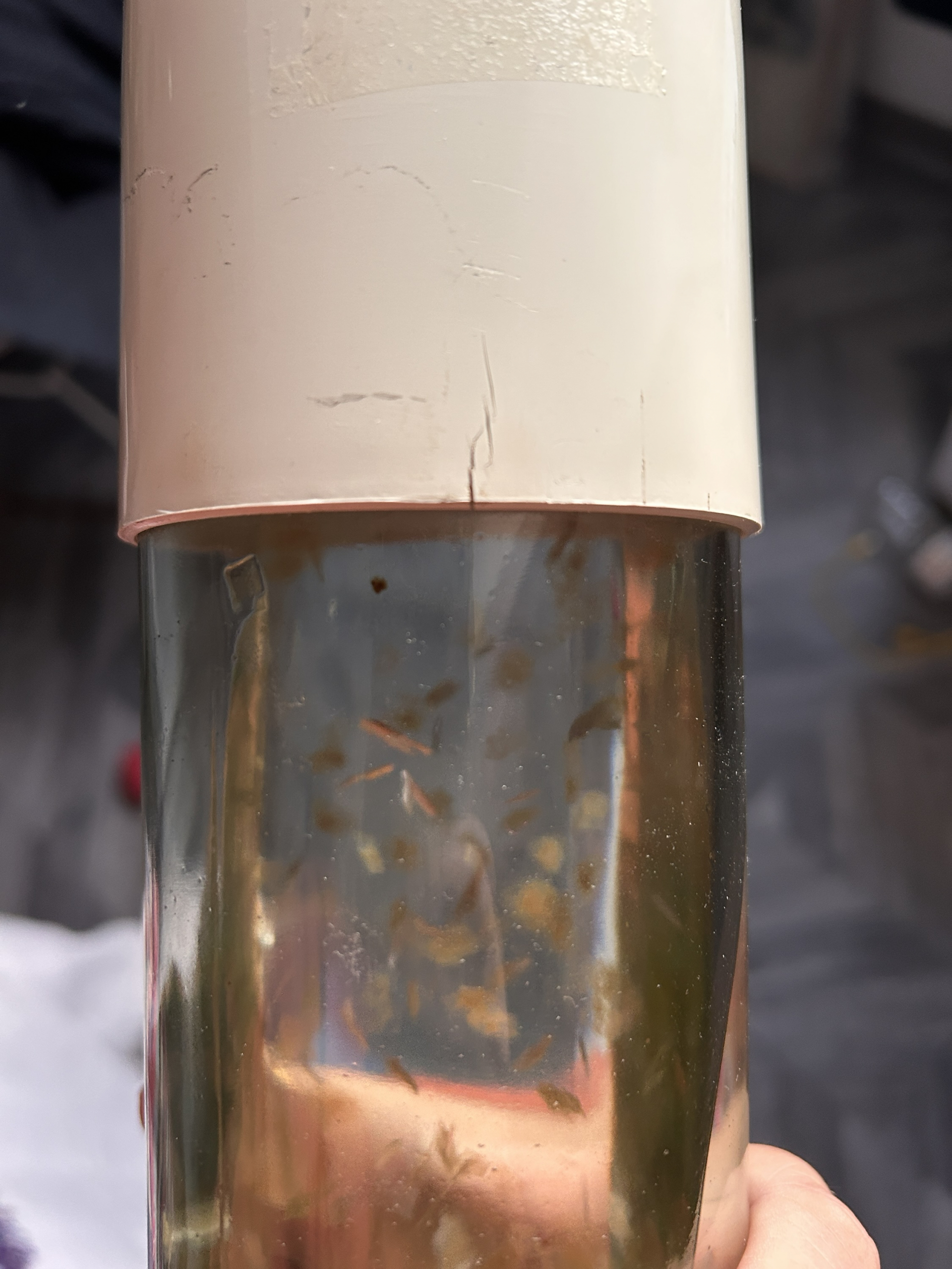 Lampe à paillette 1976 – Image 8