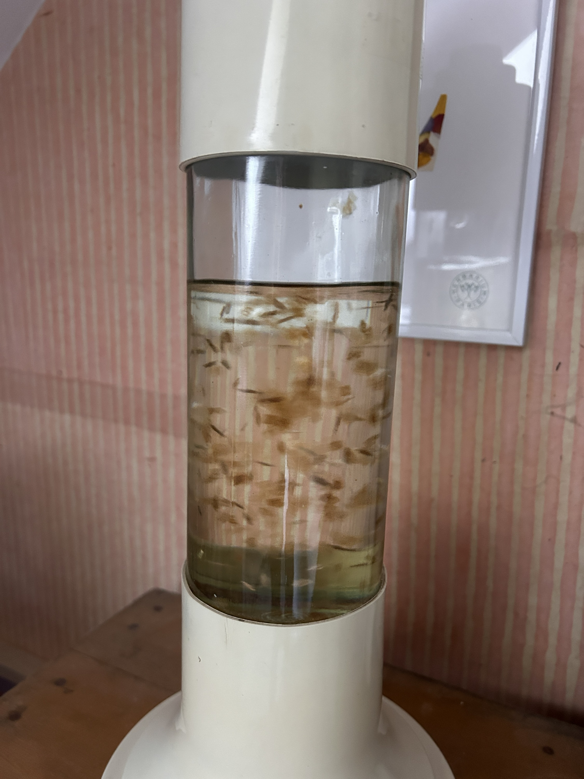 Lampe à paillette 1976 – Image 5